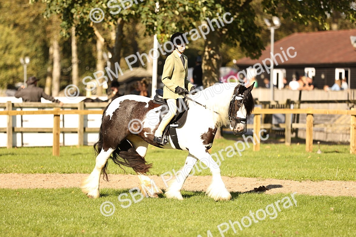 SBM_26435 - S6 - Novice & Newcomers Ridden Horse