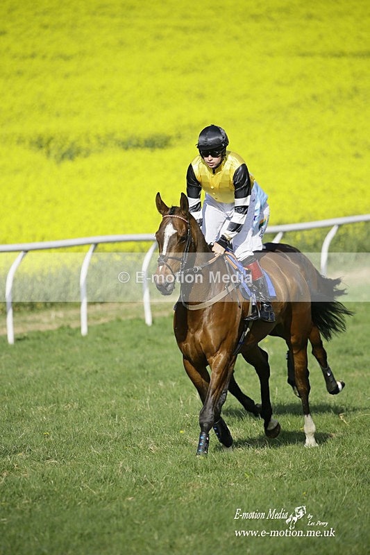 PtP 180422 339 - Old Berkshire PtP Lockinge 18/04/22