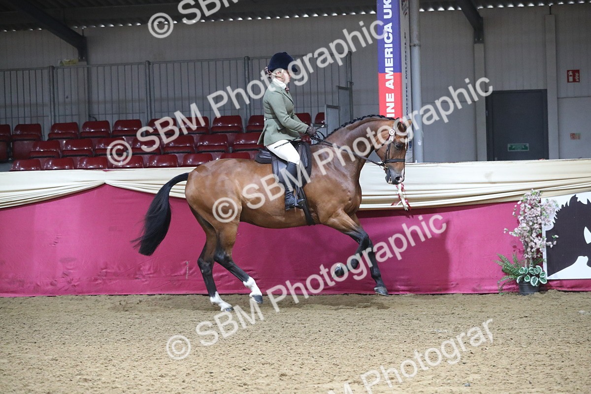 SBM_10394 - Class 102 Equitation (best rider) Adult
