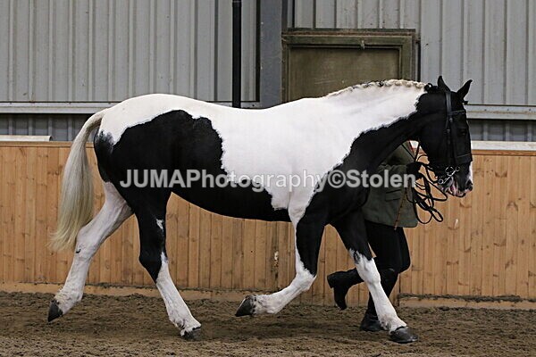 SIAL2118 - sunday 14th Set In Hand