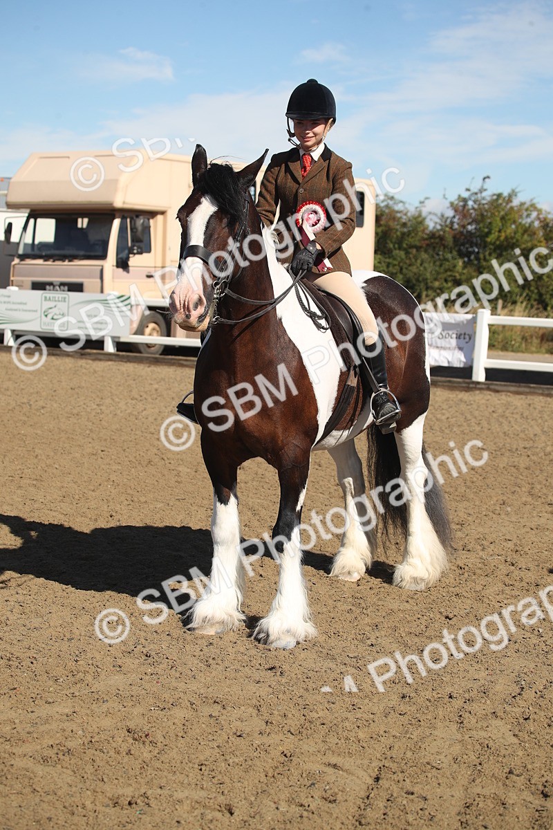 SBM_12775 - Class 504b - Junior Working Veteran - 40cm (20+)