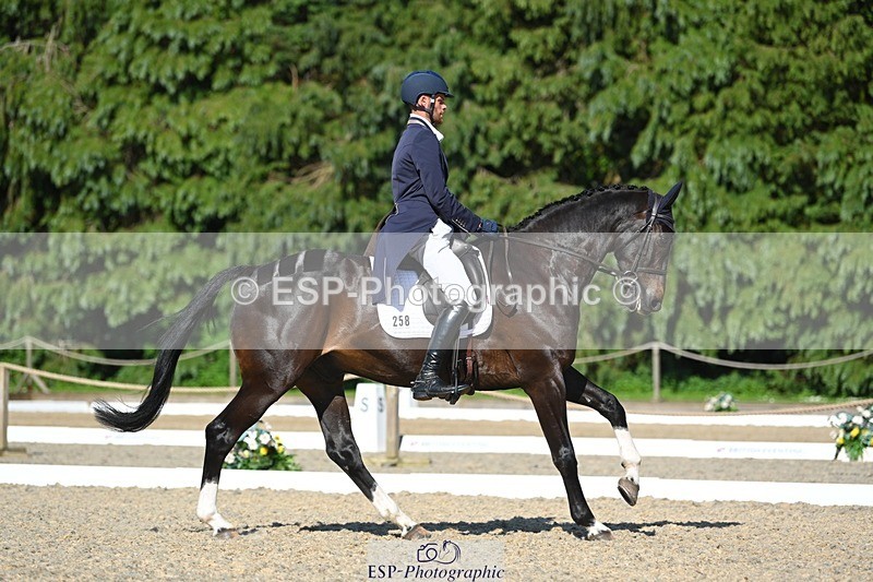 230526-165514-07443 - 258-DHI_KING_NELSON-Barnie_Brotherton-WEDTrotUp+DR