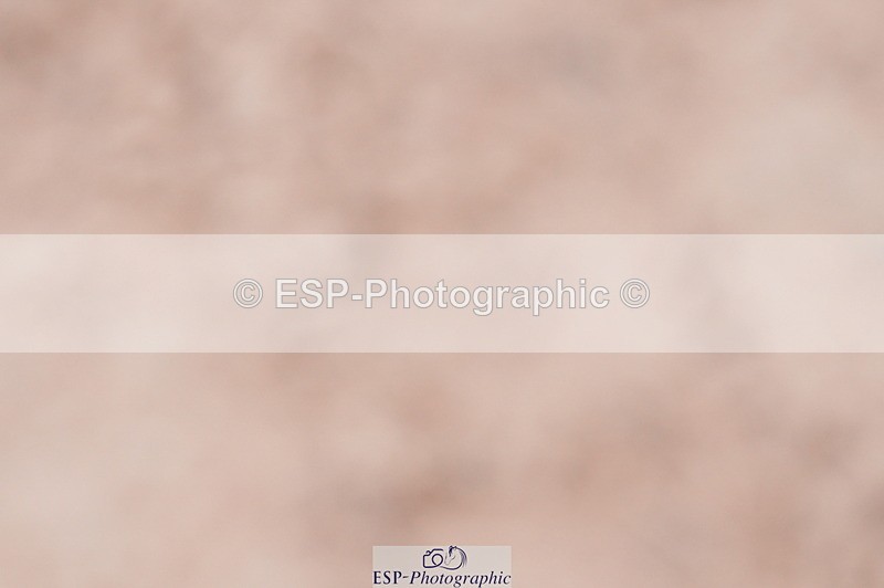 240505A-094228-04321 - Cls 12 & 13 Club & Schools 60cm