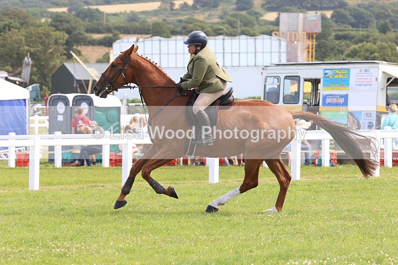 JPP_3758 - Class 23: Working Hunter 80cm