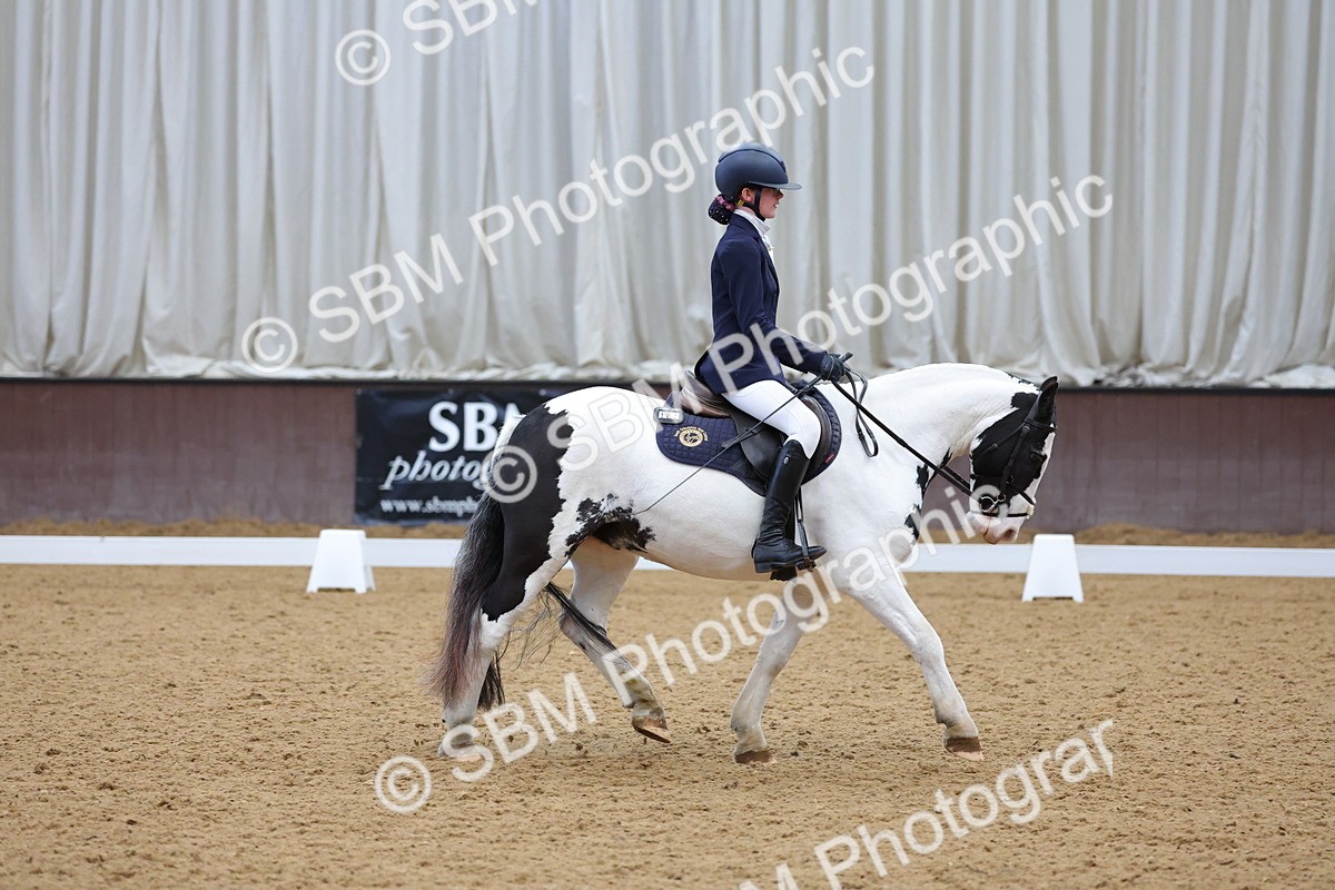 SBM_003091 - Novice