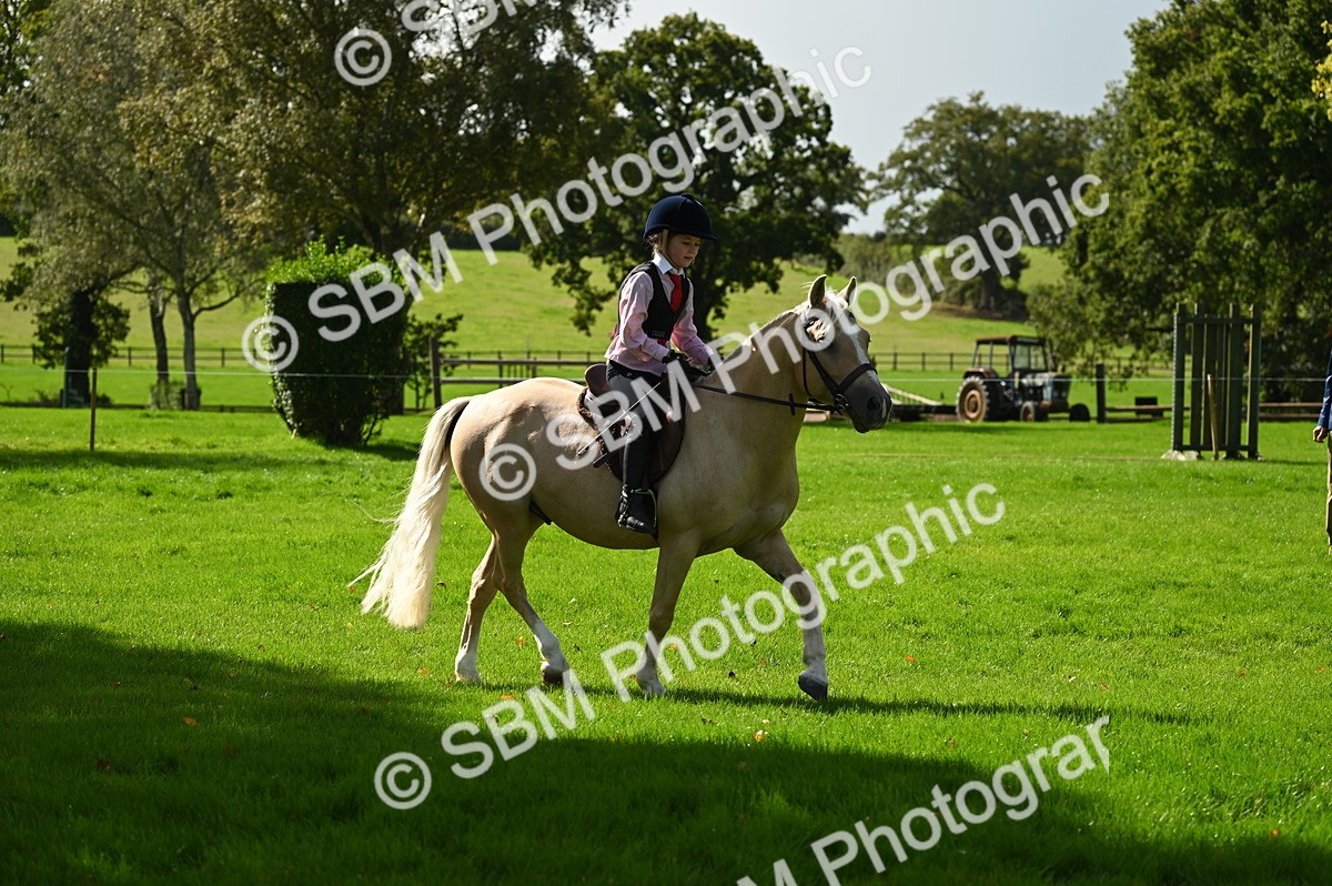 SBM_02735 - S3 - TSR Ridden Pony Showing