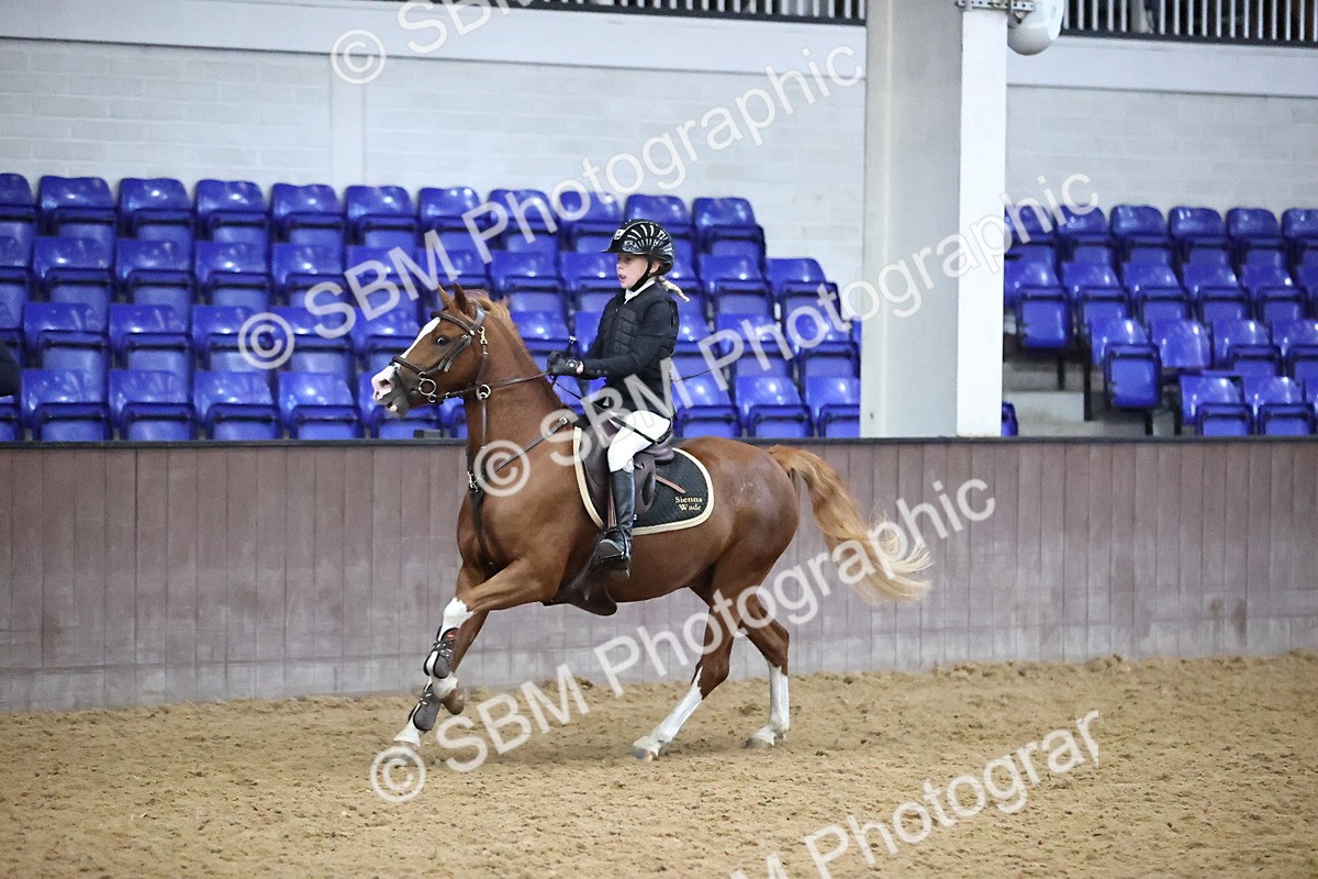 SBM_000239 - Class 1 - Stepping Stones 128-138cm Handicap