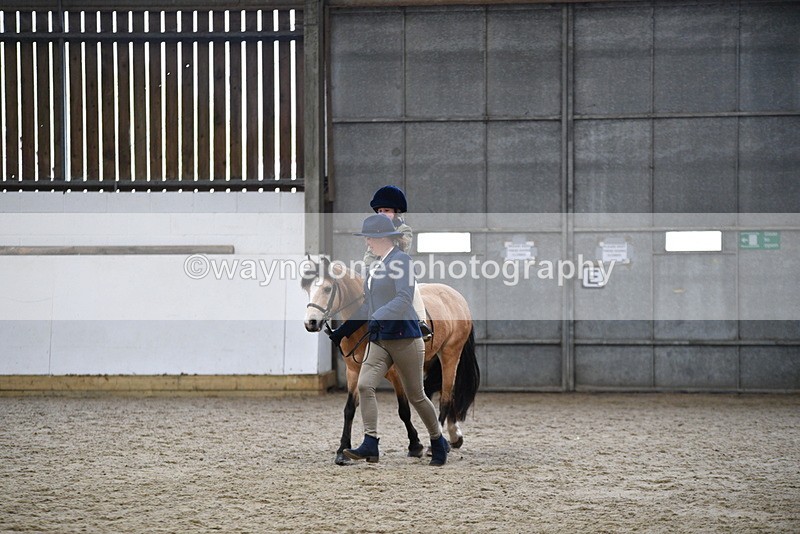 WJ5_6733 - Class 10 Childs Pony