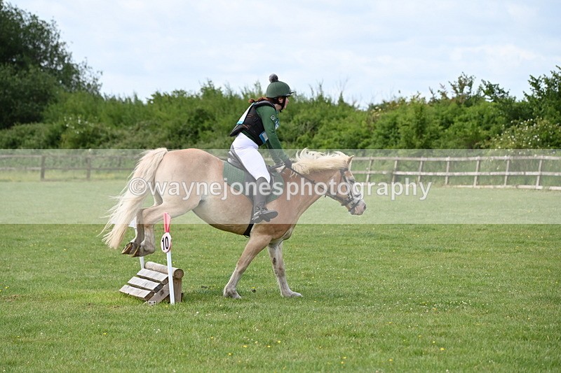 WJ6_2290 - Class 2 40cm