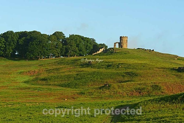 Old John Tower - Bradgate Park - Bradgate Park