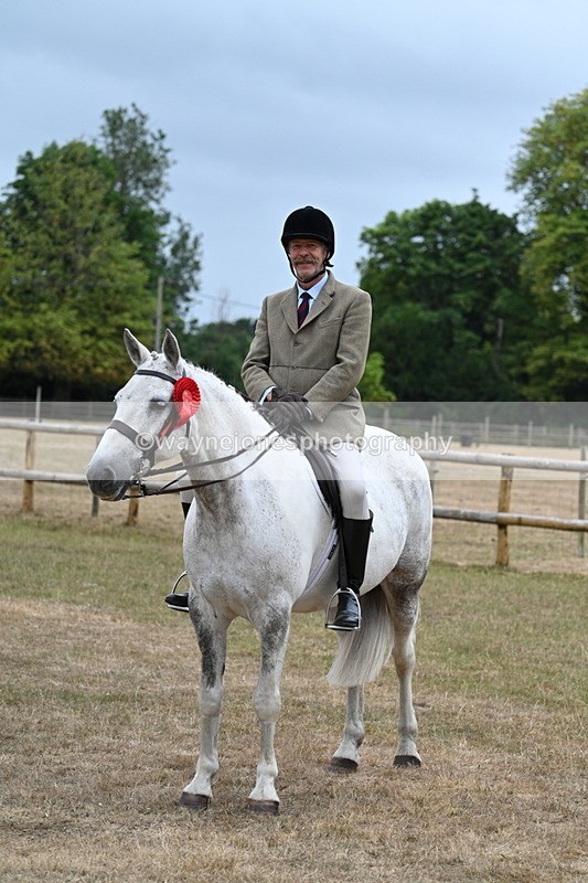 WJ7_0980 - Class 7 Riding Club Show Horse