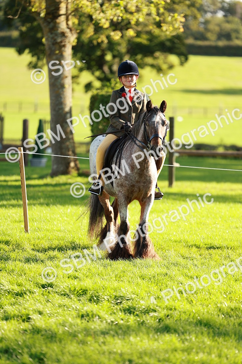 SBM_28727 - S7 - Novice & Newcomer Ridden Pony