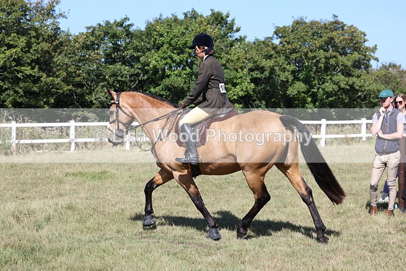 3E7A6266 - Class 6: Working Hunter 1m