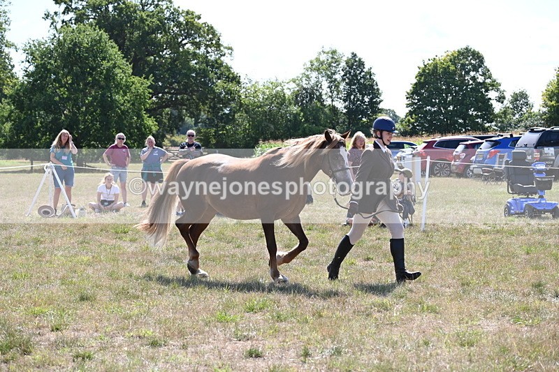 WJ6_4972 - Class 17 Mountain & Moorland