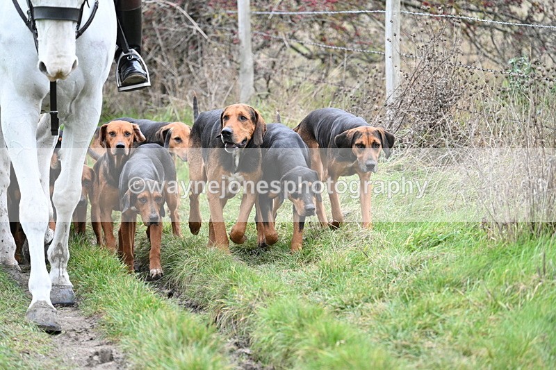 WJ7_0825 - First Seen