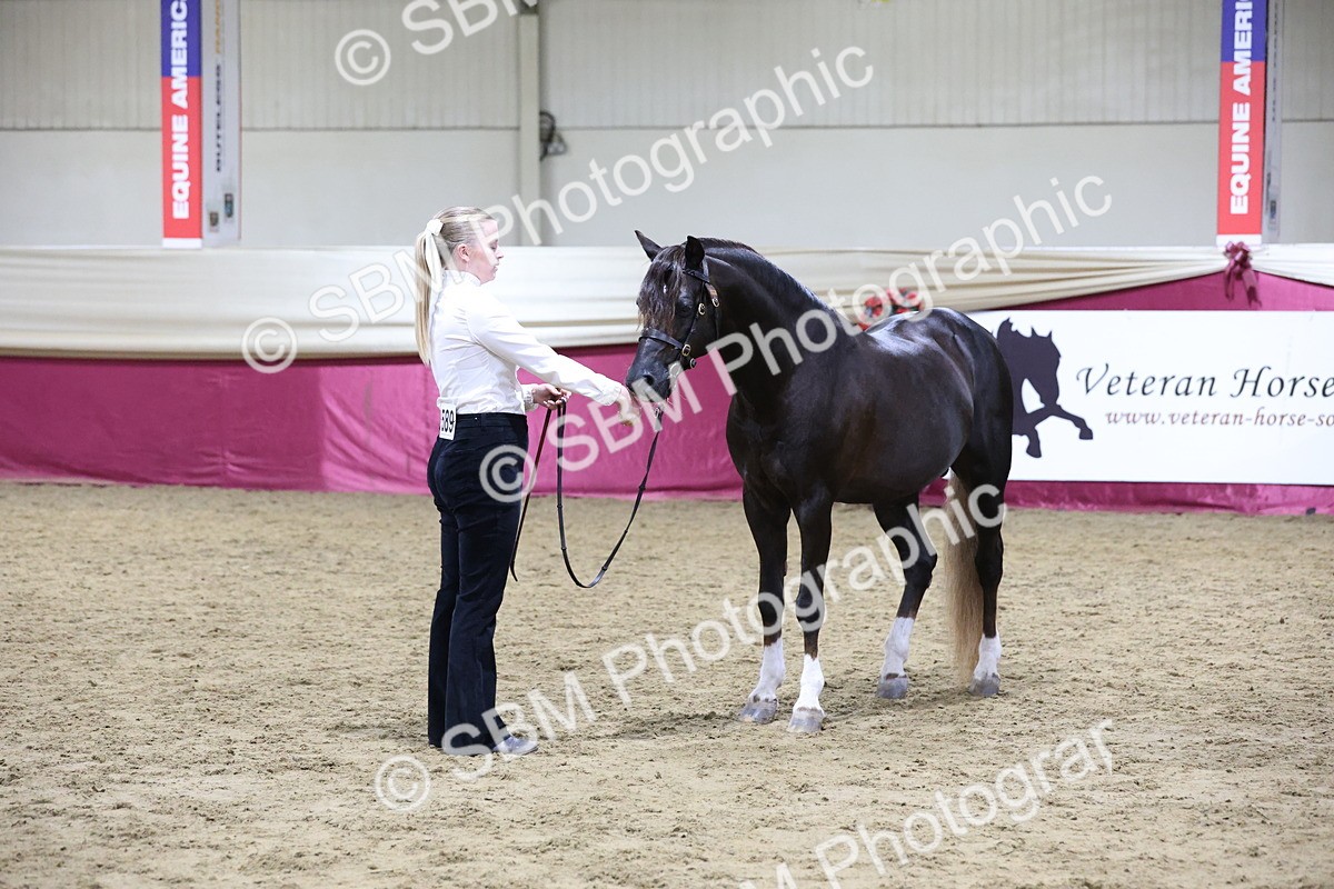 SBM_21101 - Class P - M&M Champs