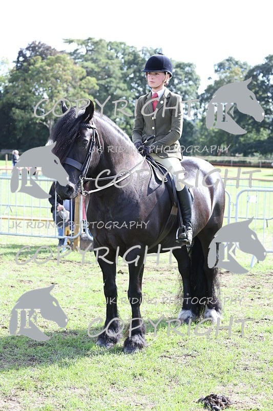 APP_3694 - Class 12 M&M ridden