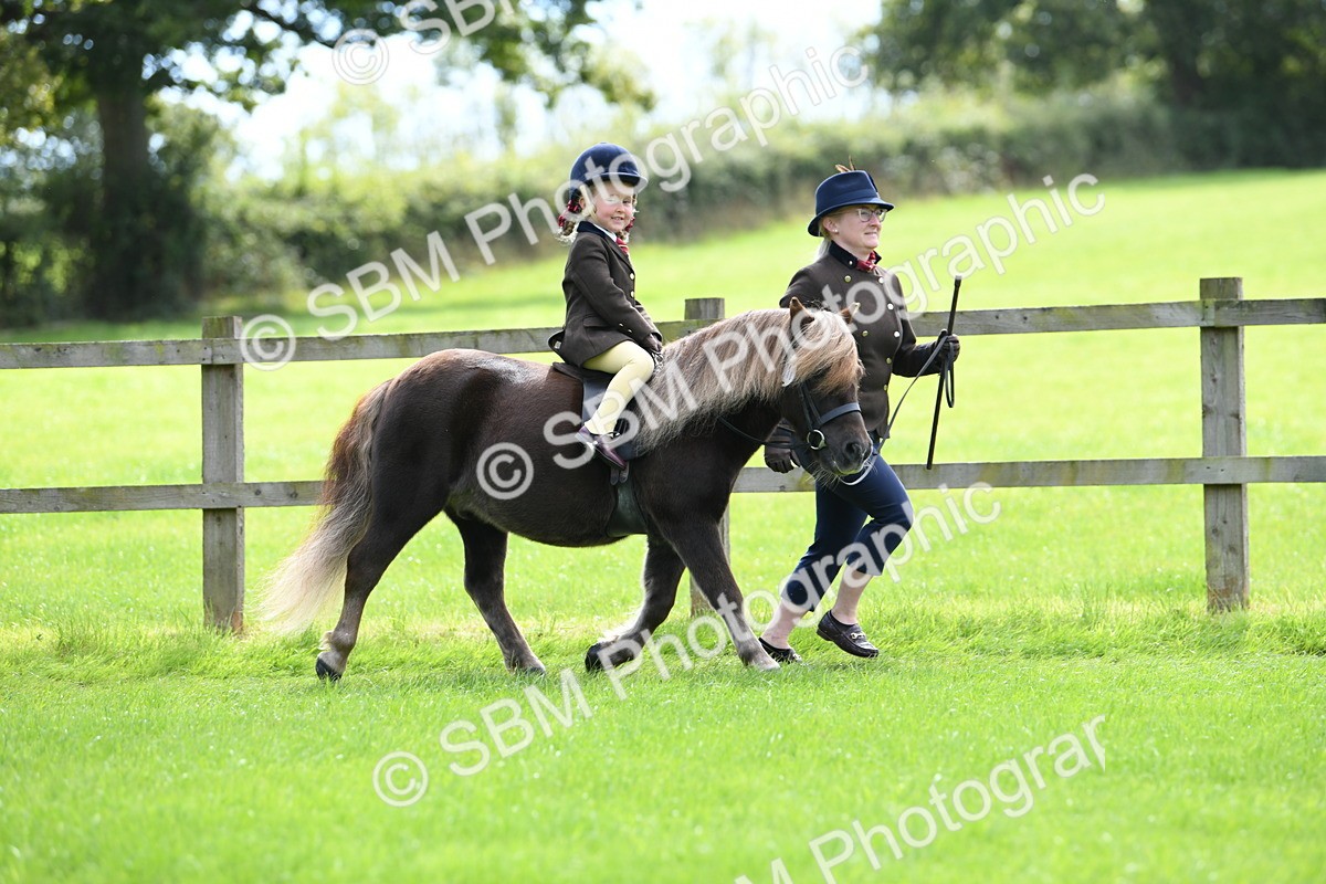 SBM_42509 - S20 - Lead Rein Mountain & Moorland Pony