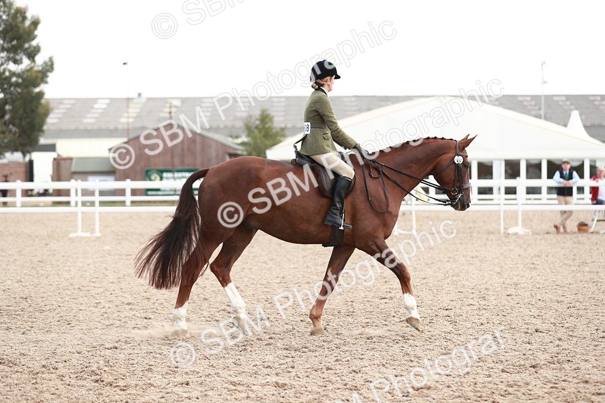 SBM_15541 - Class 213 Ridden Hunter -Large