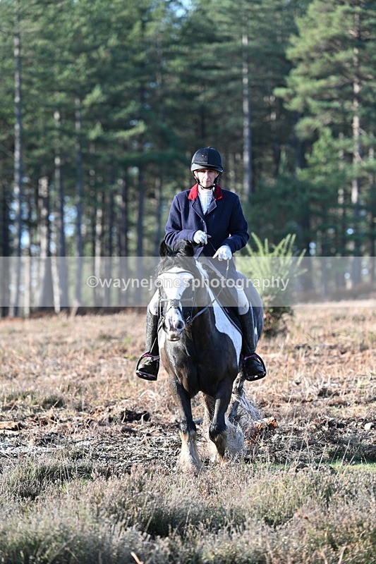 WJ7_7298 - Line 3 (no line 4 or 5)