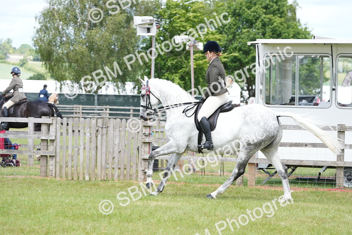 SBM_16186 - Class 105-106 - RIHS Riding Horses
