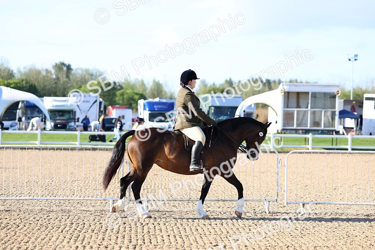 SBM_08711 - Class 302 - Ridden M&M - Large Breeds