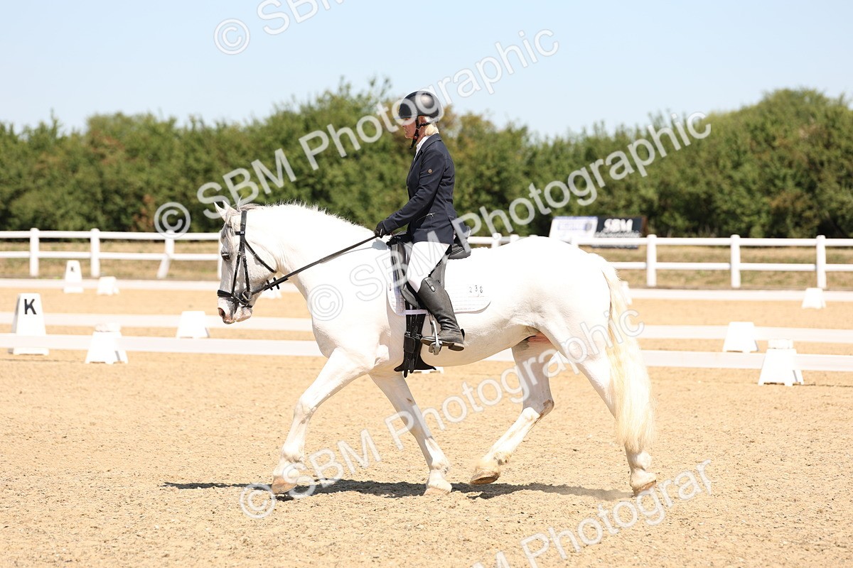 SBM_001322 - Intro 2