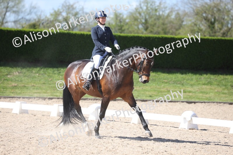 20260405-0584 - Class 7 - Medium 5