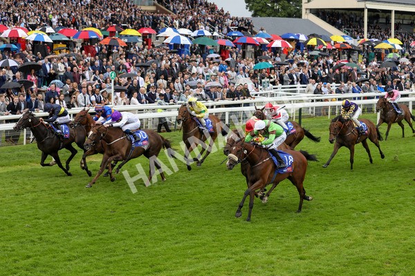 150624-Race 2-Tolstoy-6099 - Race 2 2.25pm Sky Bet Proud To Support Macmillan Handicap