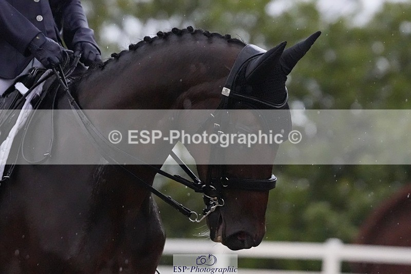 250907-081113-05380 - 048-Clare.BosleyTremeer