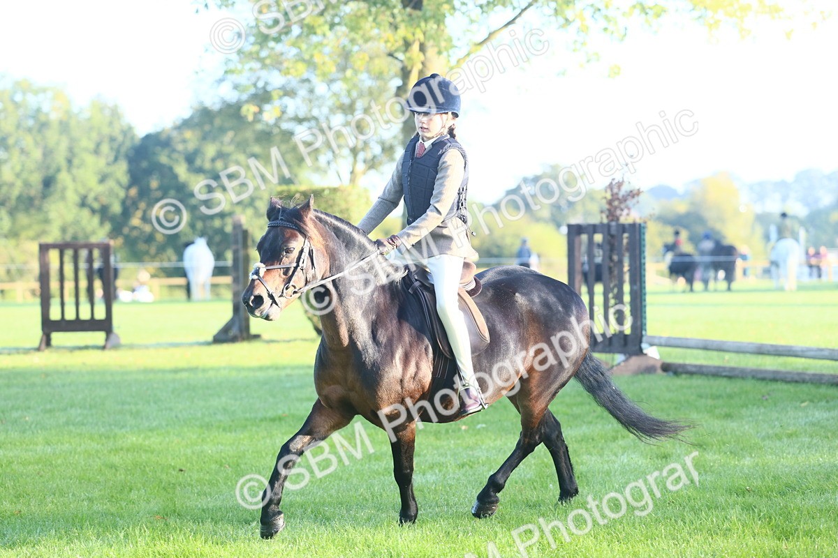 SBM_37327 - S29 - Novice & Newcomers Working Hunter Pony
