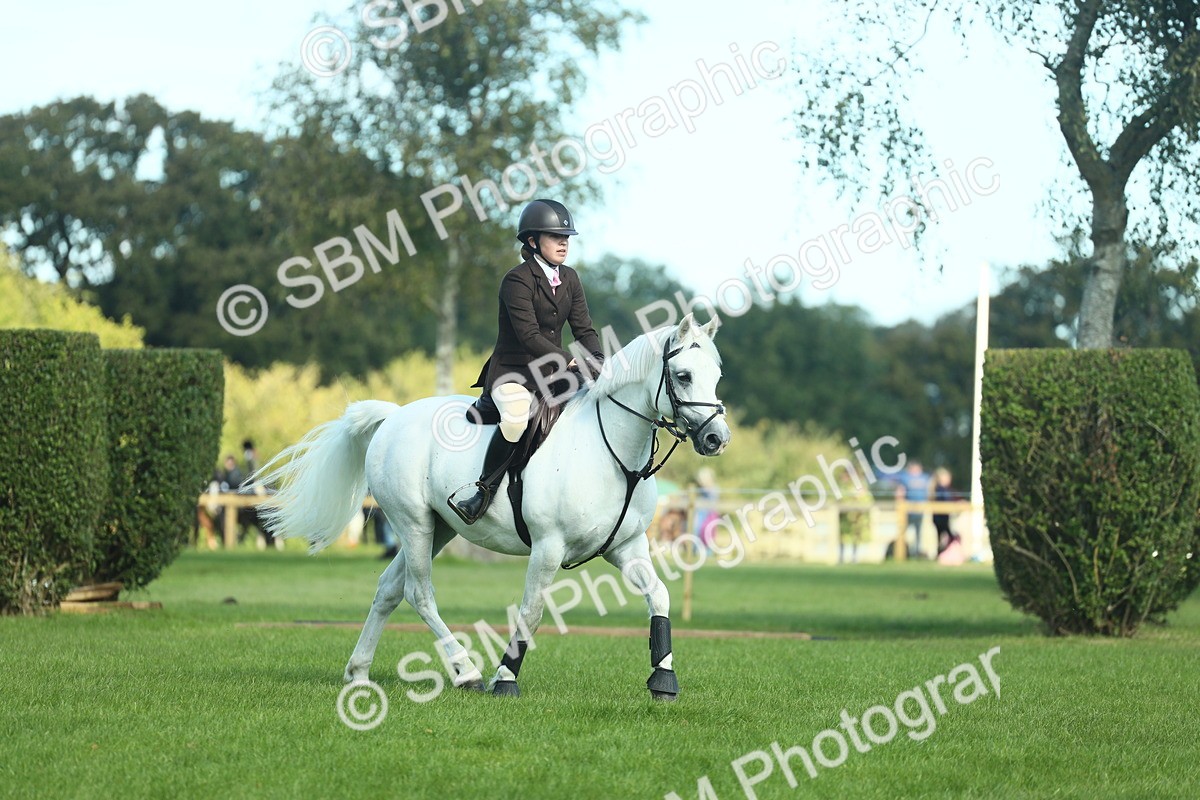 SBM_39220 - S29 - Novice & Newcomers Working Hunter Pony