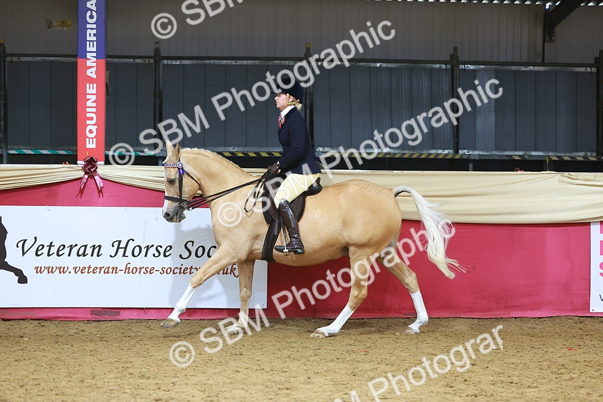 SBM_09651 - Class 102 - HOYS Veteran Qualifier - Ridden Veteran