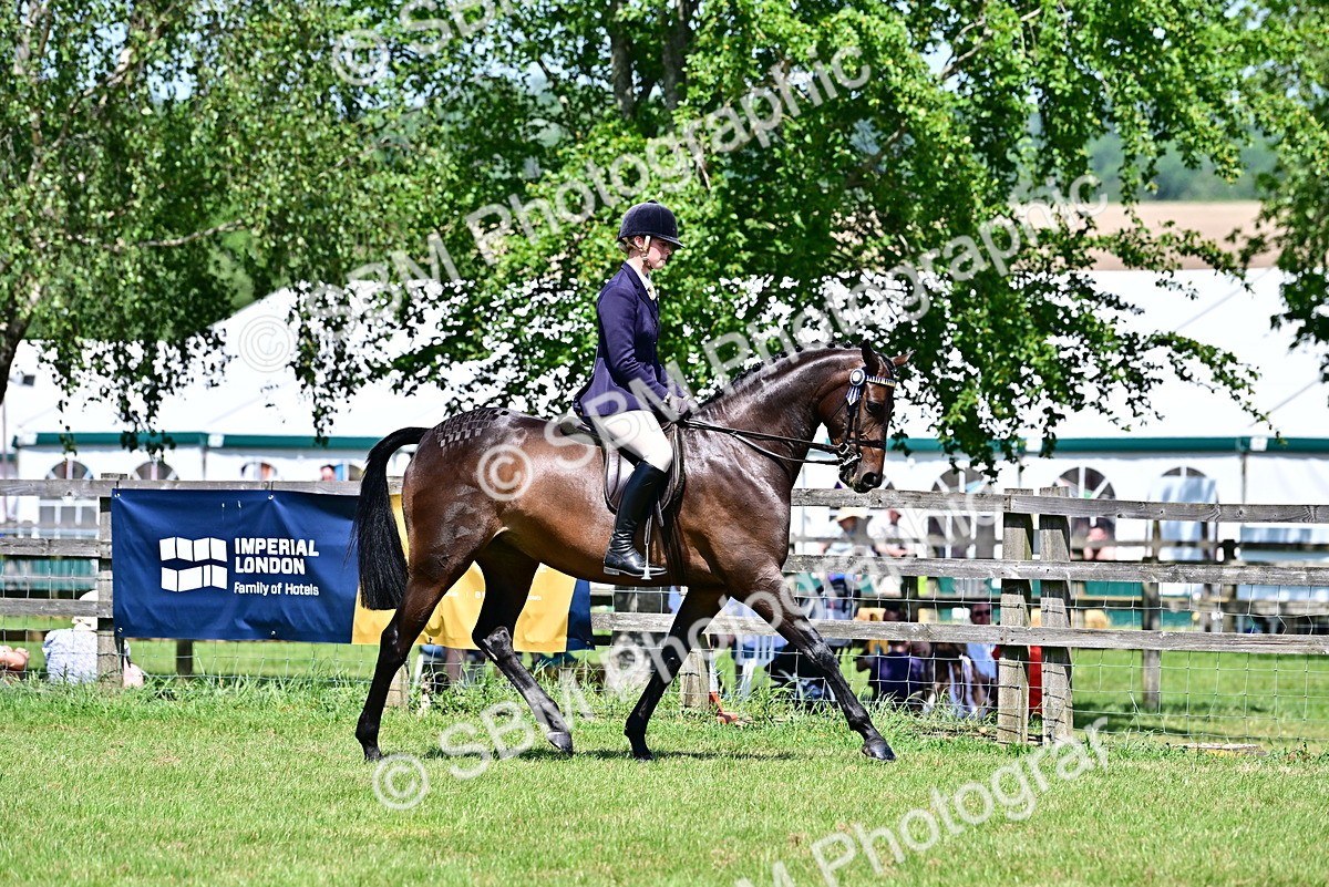 SBM_17502 - Class 95-97 - BSPS LHS Performance Ponies
