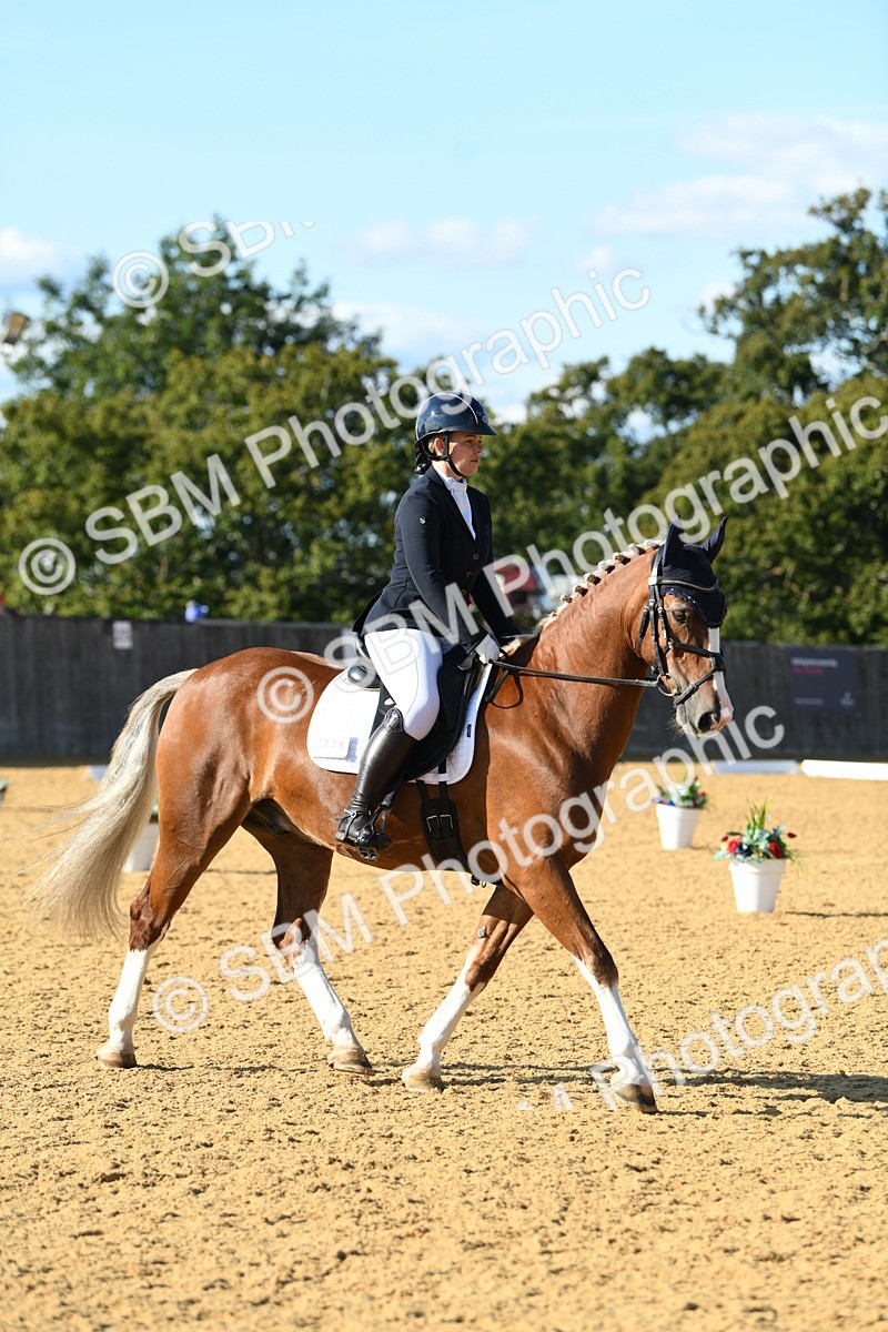 SBM_27293 - D16 - Small Tour Championship - Novice 28