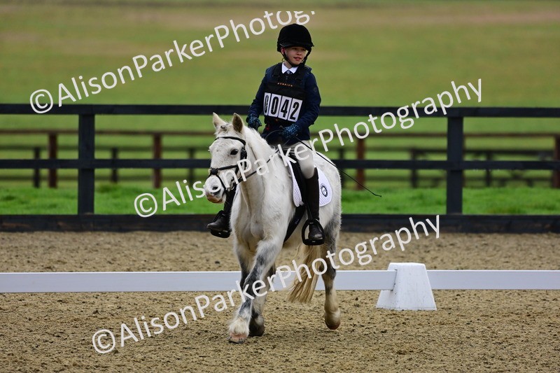 20260125-0525 - Class 9b - Walk Trot Unassisted