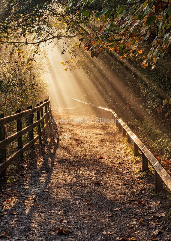 Yarrow Valley Country Park - Lancashire