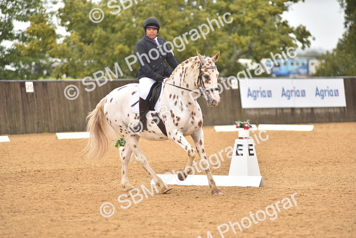 SBM_00398 - D7 - Small Tour Championship Prelim 2