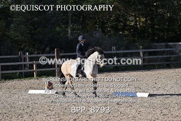 BPP_8793 - LONG ARENA