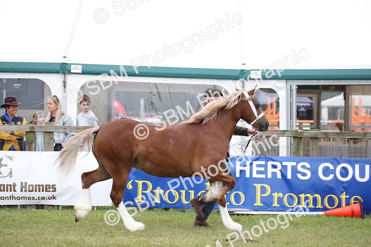 SBM_09763 - Ch 50 - Price Family Supreme In Hand