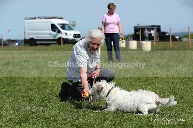 SPXX0605 - Dog show