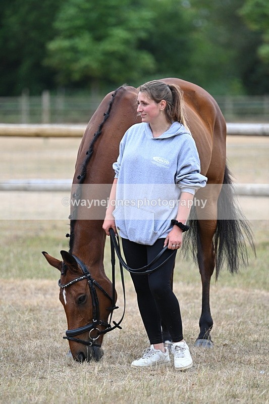 WJ7_9846 - Class 5a Most Handsome Gelding (above 14.2hh)