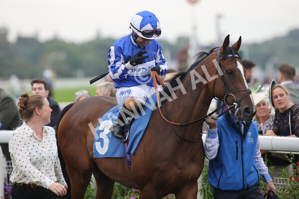 yr09102021r6-1 - Race 6 4.25pm Coral Best Odds Guaranteed Handicap