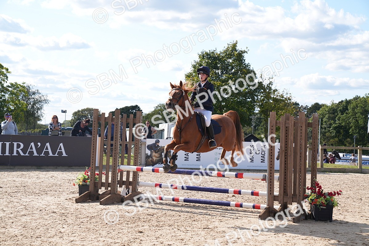 SBM_26011 - J61 - Clear Round 75cm & 85cm