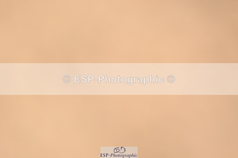 240323A-120757-01712 - DR Prelim 18