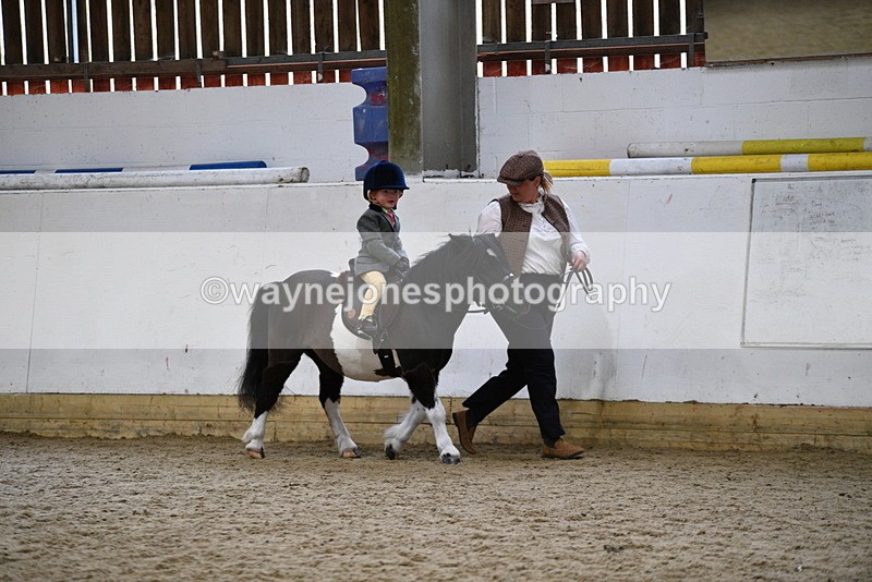 WJ5_6568 - Class 10 Childs Pony