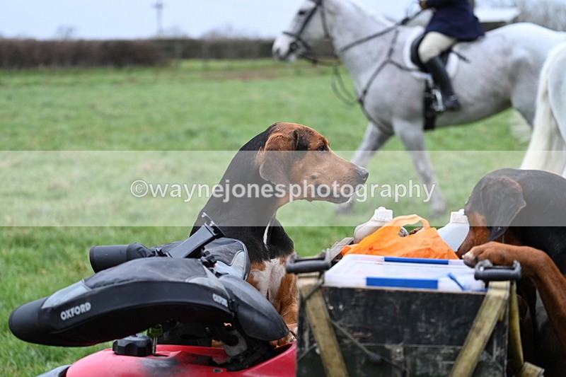 WJ7_4136 - Meet