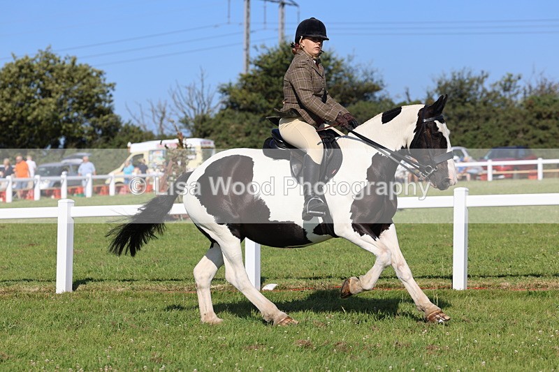 IMG_1498 - Class 30: Ridden Native/Trad Coloured Pony