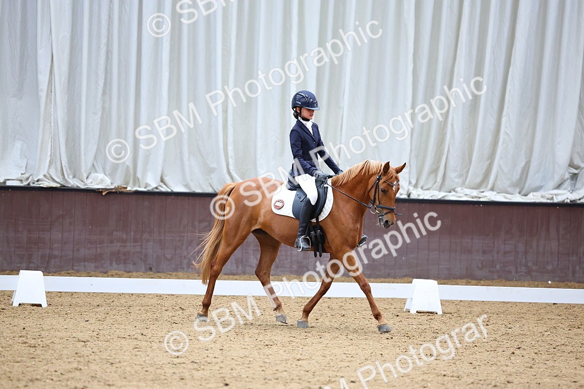 SBM_003989 - Novice 2