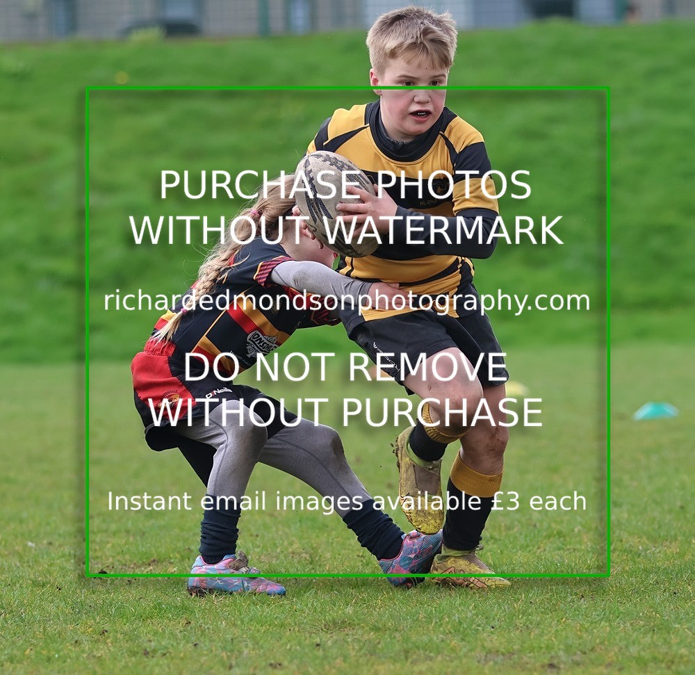 533A5593 - Kendal Rugby Mini & Youth (Sunday 12/4/26)